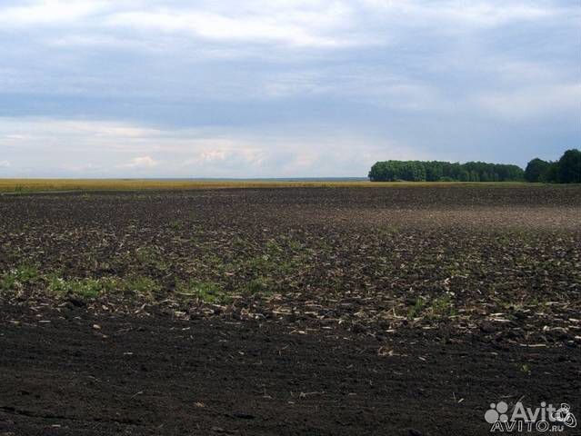 Купить Землю Сельхозназначения В Вологодской Области