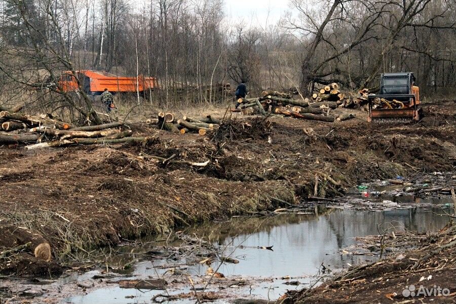 Очистка Участка От Деревьев И Кустарников Цена