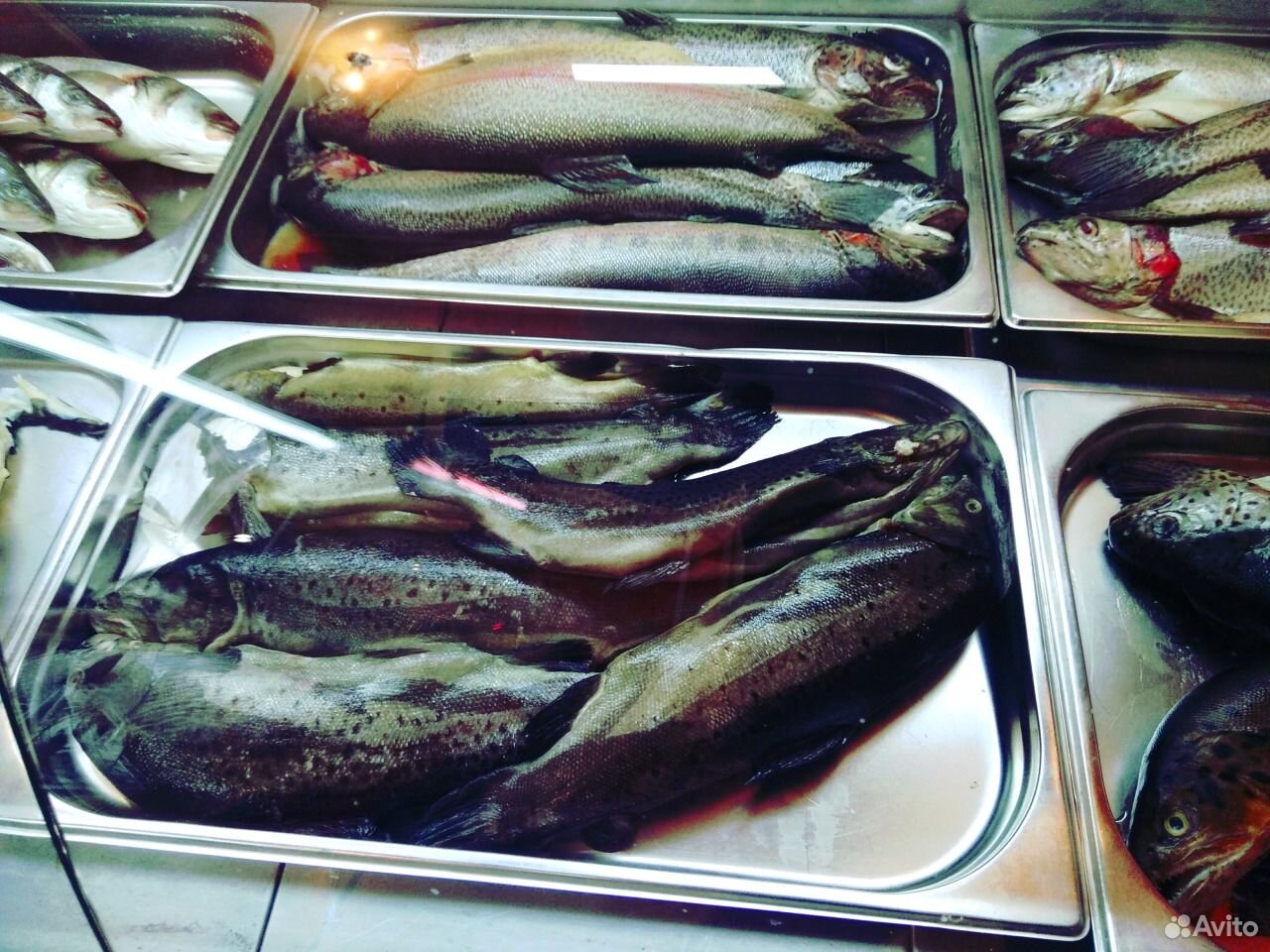 Рыба,колбасные изделия,птица купить на Зозу.ру - фотография № 5