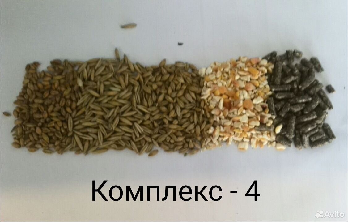Зерно-смеси купить на Зозу.ру - фотография № 4