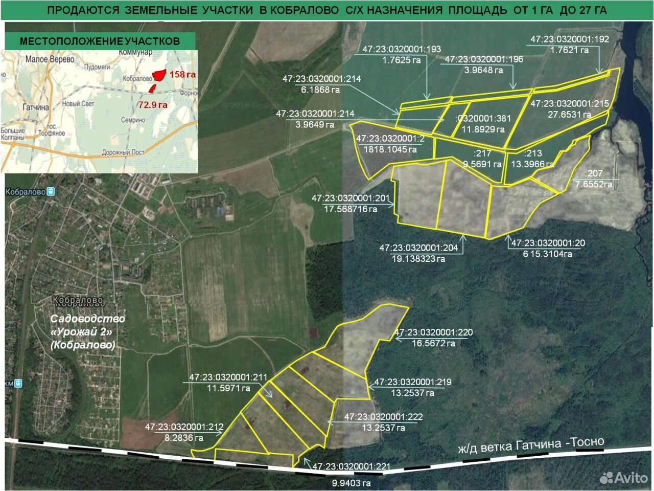 Погода в кобралово. СНТ магистраль Кобралово. Кобралово магазины. Сусанинское сельское поселение Ленинградская область.