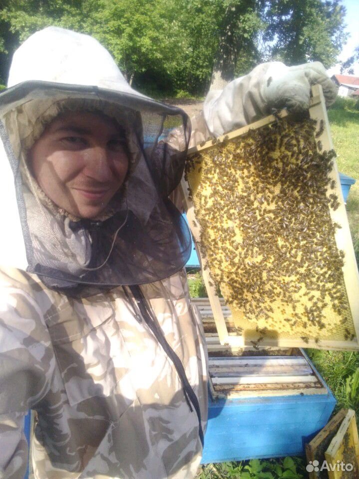 Самый вкусный и полезный мёд 2020 купить на Зозу.ру - фотография № 7