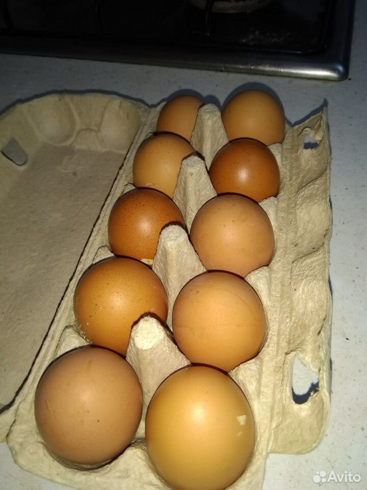 Продам куриное яйцо купить на Зозу.ру - фотография № 1