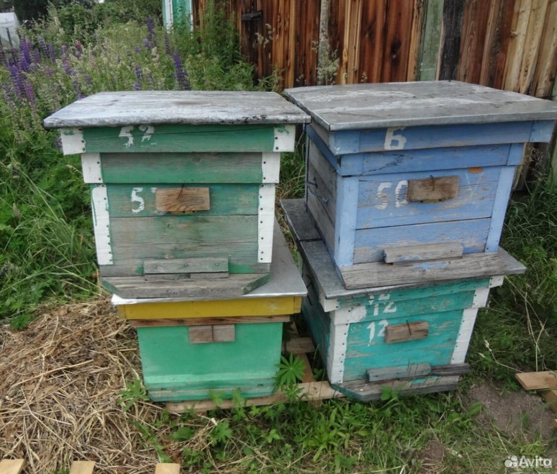 Купить Ульи Бу В Пензенской Области