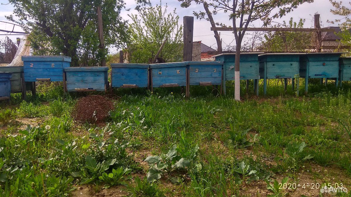 Ящики для пчёл купить на Зозу.ру - фотография № 1