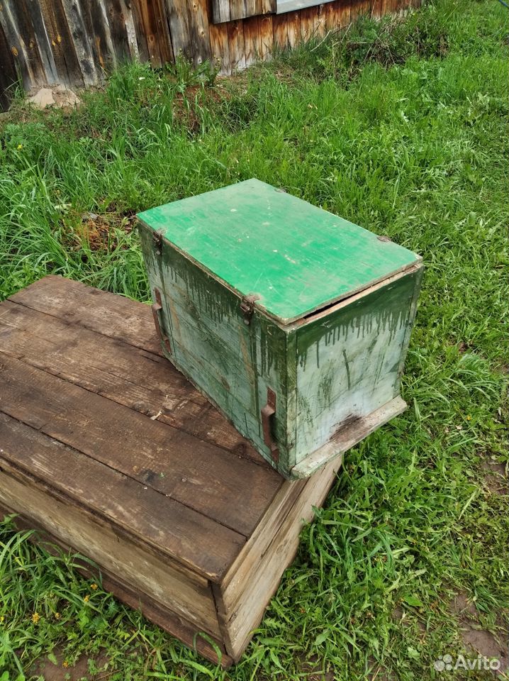 Пчелы, отводок с плодной маткой купить на Зозу.ру - фотография № 1