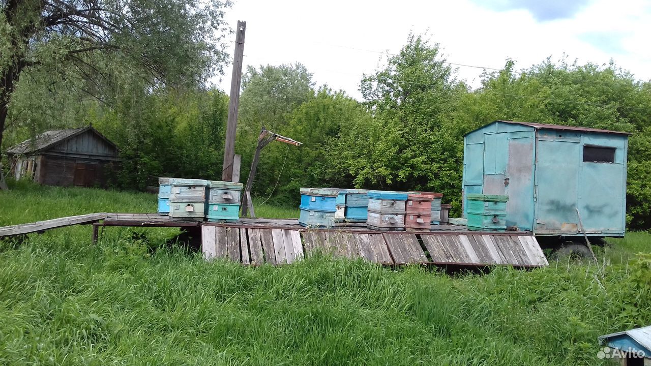 Пчеловодческий инвентарь купить на Зозу.ру - фотография № 2