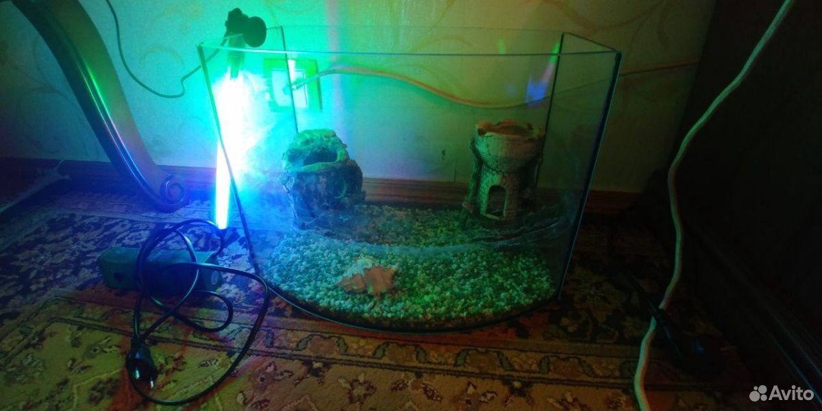 Аквариум для рыб 35х23х26 см купить на Зозу.ру - фотография № 1