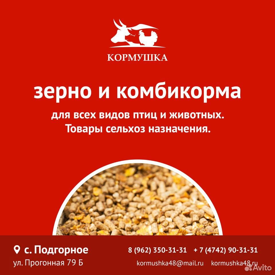 Отруби Пшеничные Гранула купить на Зозу.ру - фотография № 3