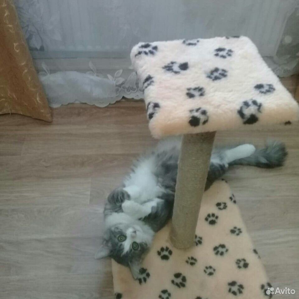Вязка кот купить на Зозу.ру - фотография № 5