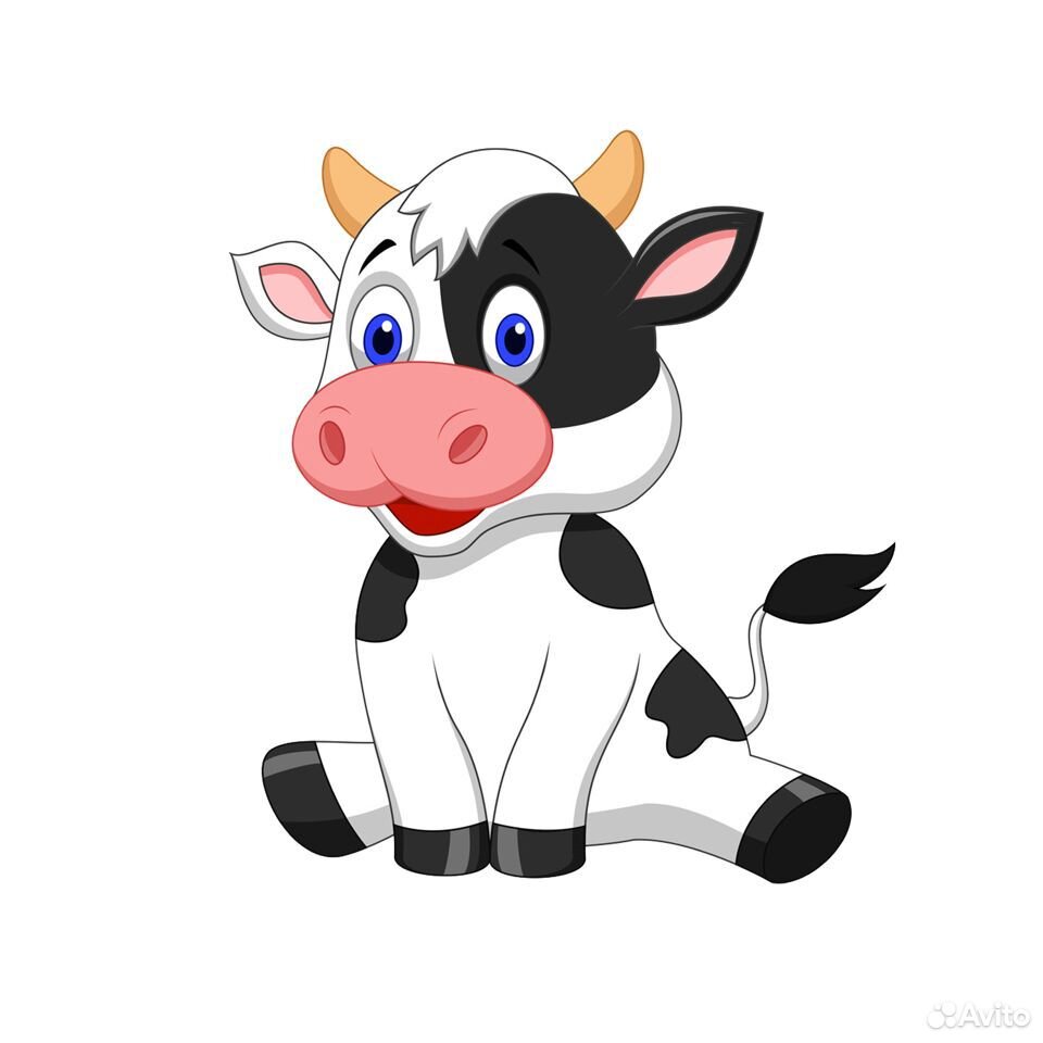 Корову на мясо / бычок (2 мес.) купить на Зозу.ру - фотография № 1