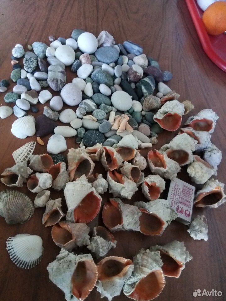 Морские камни и ракушки купить на Зозу.ру - фотография № 3