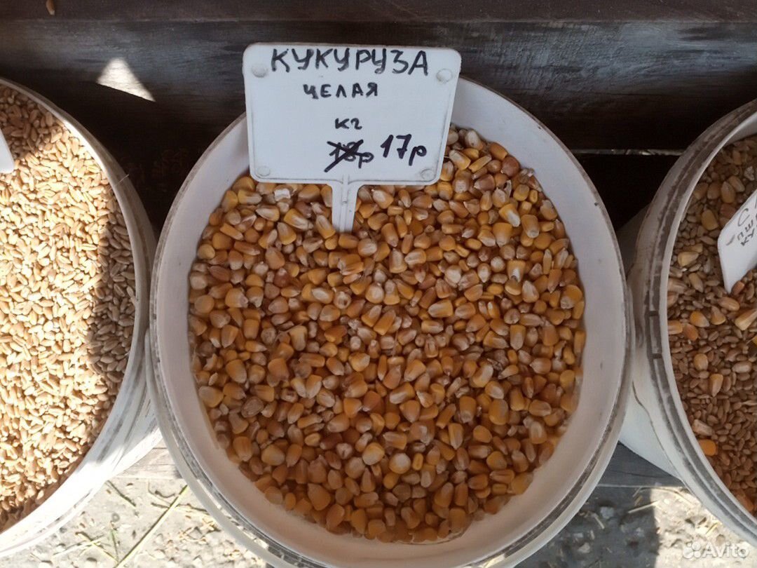 Пшеница. Комбикорма купить на Зозу.ру - фотография № 6