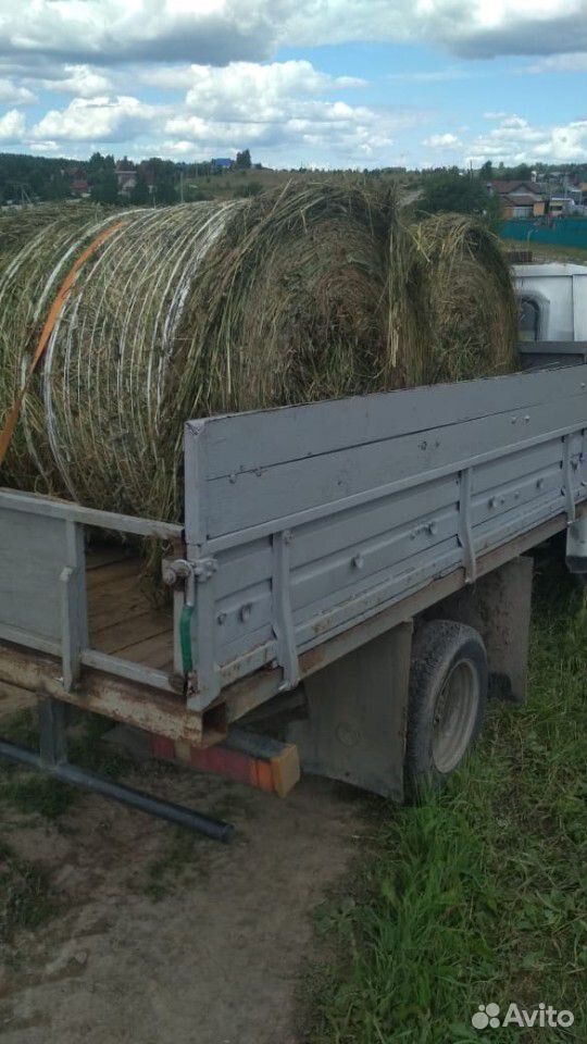 Сырая трава в рулонах купить на Зозу.ру - фотография № 1