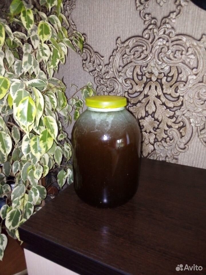 Мёд купить на Зозу.ру - фотография № 2