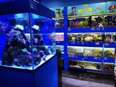 Магазин "Аквариум" Огромный выбор аквариумов