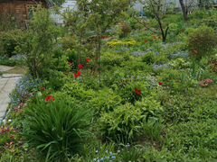 Широкий выбор садовых растений и цветов