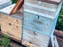 Продаются рамки сушь для пчёл