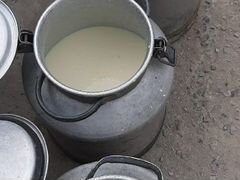 Продам молоко домашние от своих коров за 35 за лит