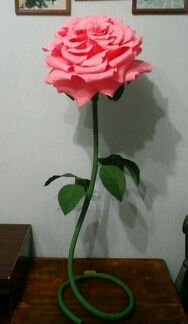 Роза декоративная