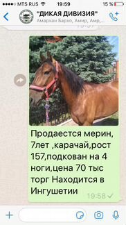 Продаётся лошадь