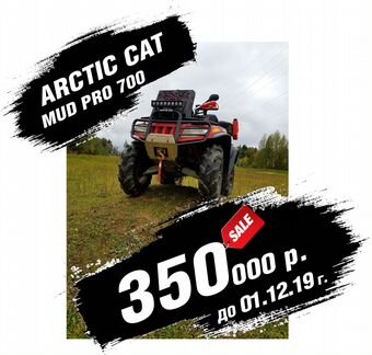 Arctic cat mud pro 700