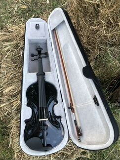 Новая скрипка в кейсе