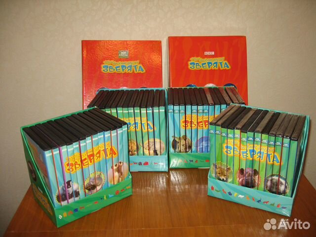 Твои веселые друзья зверята