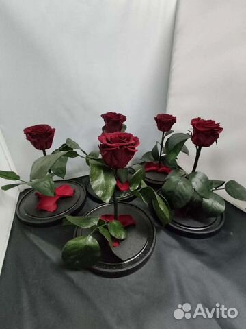 Роза в колбе оптом