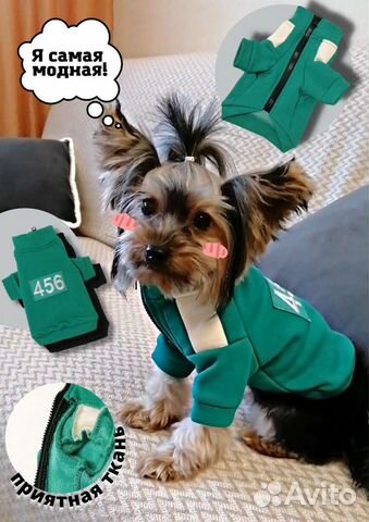 Толстовка для собак Одежда для маленьких и средних