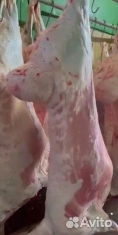 Мясо баранина