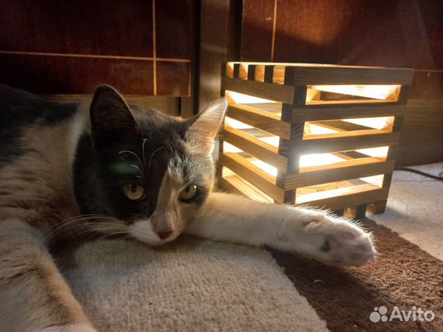 Лампа ночник. Настольная лампа из дерева