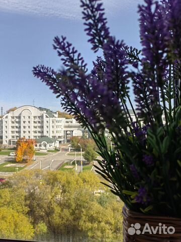 

Квартира-студия, 32 м², 2 кровати