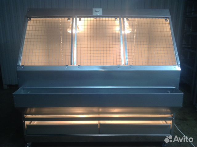 Новинка Брудер для Индюшат