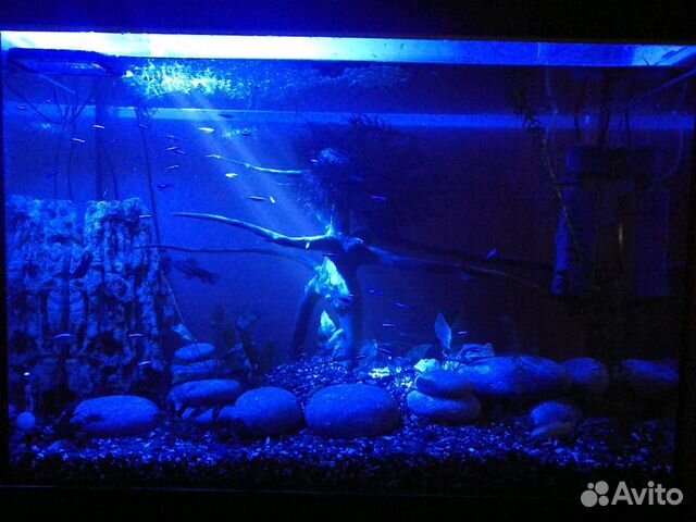 Новый аквариум купить на Зозу.ру - фотография № 6