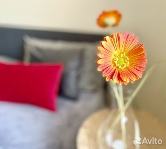 

Квартира-студия, 23 м², 1 кровать