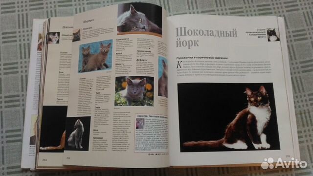 Продам энциклопедию Продам энциклопедию