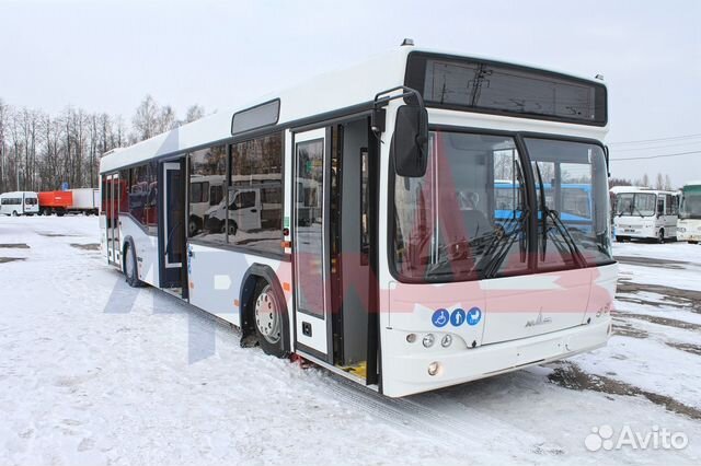 Маз 103 автобус Маз 103 автобус