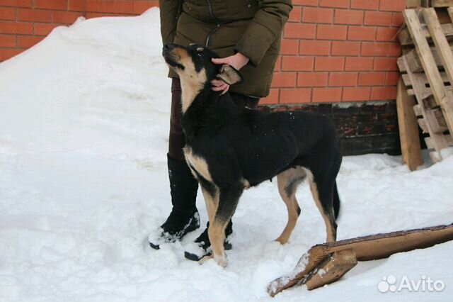 На охрану, для души