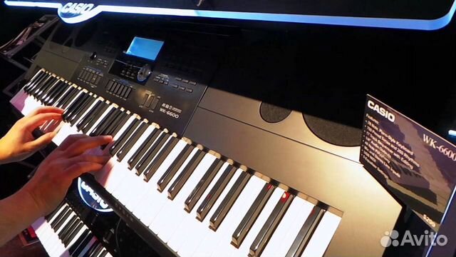 casio 6600