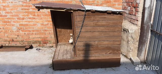 Конура будка для собаки купить на Зозу.ру - фотография № 2