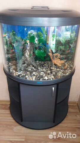 Новый аквариум с тумбой на 169 литров купить на Зозу.ру - фотография № 1