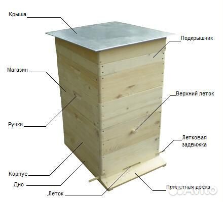 Даданы двухкорпусные пасека мёд пчелы купить на Зозу.ру - фотография № 1