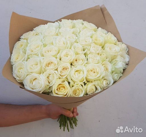 51 роза, Букеты Цветы Розы 25 101 151 201 Доставка 51 роза, Букеты Цветы Розы 25 101 151 201 Доставка