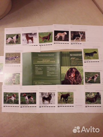Набор открыток: Породы охот. собак