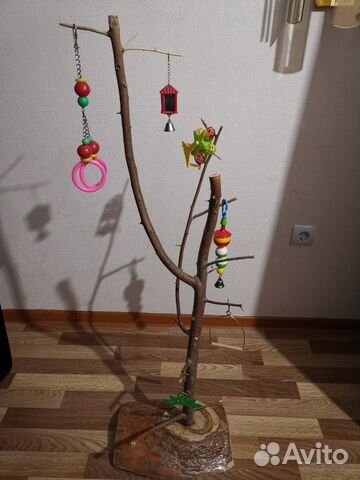 Яблочное дерево для попугаев купить на Зозу.ру - фотография № 1