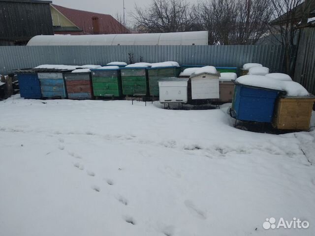 Улья пчелиные купить на Зозу.ру - фотография № 1
