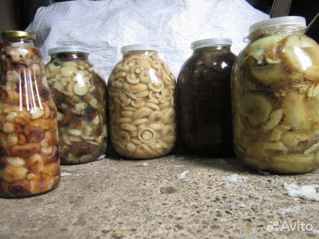 Грибы соленные и замороженные Грибы соленные и замороженные