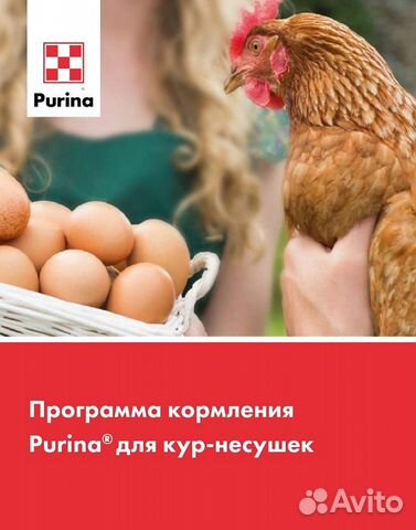 83022444222 Пурина к/корм для цыплят-несушек