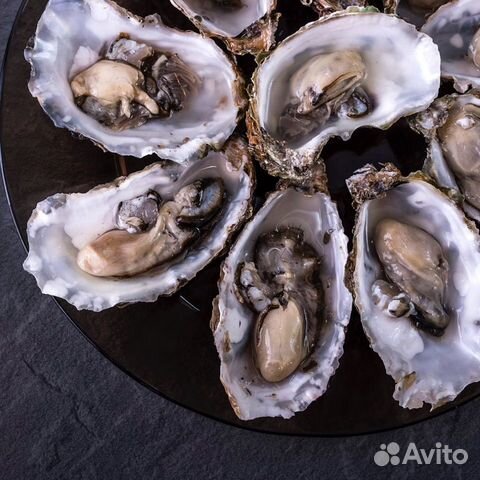 Устрица «императорская» с/м